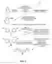 Fig. 03 - Electropolymerization of enhanced electrochromic (EC) polymer film