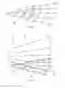 Fig. 12 - Multifocal lens array and three-dimensional stereoscopic image display apparatus