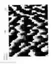 Fig. 02 - Oblique parallelogram pattern diffractive optical element