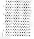 Fig. 07 - Oblique parallelogram pattern diffractive optical element