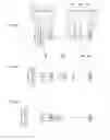 Fig. 24 - Zoom lens system, imaging device and camera