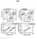 Fig. 03 - Magneto-resistive head having a stable response property without longitudinal biasing and method for manufacturing the same