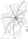 Fig. 03 - Illuminated umbrella