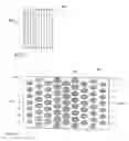 Fig. 06 - Light guide plate for liquid crystal display back light units and liquid crystal display back light unit using the same