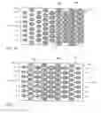 Fig. 07 - Light guide plate for liquid crystal display back light units and liquid crystal display back light unit using the same