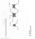 Fig. 05 - MULTI-CHAMBER SUPERCAVITATION REACTOR