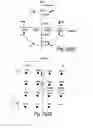 Fig. 18 - Adaptive modulation and coding