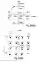 Fig. 18 - Adaptive modulation and coding