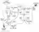 Fig. 01 - Intelligent media gateway selection for multimedia communication sessions