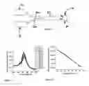Fig. 06 - Nanoparticle thermometry and pressure sensors