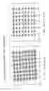 Fig. 20 - Concurrent process for blind deconvolution of digital signals