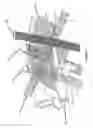 Fig. 04 - Adaptive x-ray control