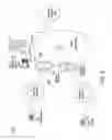Fig. 03 - Method and apparatus for bypassing overload control for emergency calls