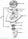 Fig. 01 - Audio speaker having a tweeter capable of continuous rotation