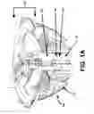 Fig. 02 - Audio speaker having a tweeter capable of continuous rotation