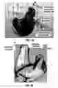 Fig. 06 - System comprising an automated tool and appertaining method for hearing aid design