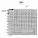 Fig. 03 - Image data generation with reduced amount of processing
