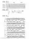 Fig. 10 - Thin Film Optical Patterning Devices