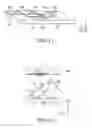Fig. 07 - Optical module