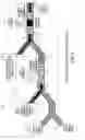 Fig. 07 - All-optical logic gates using nonlinear elements—claim set V