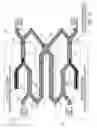 Fig. 10 - All-optical logic gates using nonlinear elements—claim set V