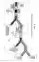 Fig. 07 - All-optical gates using nonlinear elements-claim set III