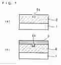 Fig. 05 - Optical waveguide
