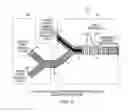Fig. 06 - All-optical logic gates using nonlinear elements-claim set II