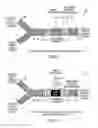 Fig. 04 - All-optical logic gates using nonlinear elements-claim set VI