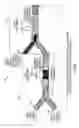 Fig. 05 - All-optical logic gates using nonlinear elements-claim set VI