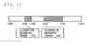 Fig. 09 - Broadcast program recording/reproducing device and broadcast program recording/reproducing method