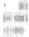 Fig. 06 - Video reproducing apparatus, data structure of bookmark data, storage medium storing bookmark data, and method of generating bookmark data cross-reference to related applications