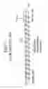 Fig. 06 - Developing device, process cartridge and image forming apparatus