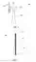 Fig. 04 - Wind turbine rotor blade