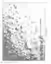 Fig. 11 - Method for cleaning a nebulizer