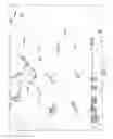 Fig. 12 - Method for cleaning a nebulizer