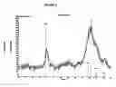 Fig. 04 - Calcium phosphate cements and methods for using the same