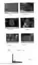 Fig. 02 - Method for obtaining carbon nanotubes on supports and composites comprising same