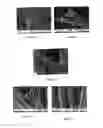 Fig. 04 - Method for obtaining carbon nanotubes on supports and composites comprising same