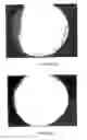 Fig. 09 - Method for obtaining carbon nanotubes on supports and composites comprising same