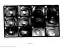 Fig. 13 - Specific binding molecules for scintigraphy, conjugates containing them and therapeutic method for treatment of angiogenesis