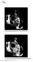 Fig. 02 - Glycerophosphoric acid ester derivative having polyfunctional metal chelate structure