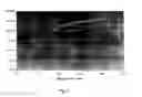 Fig. 03 - Hydrophilic matrix for delivery of active agent and product containing same