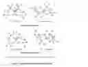 Fig. 02 - Sunscreen safety and efficacy enhancement