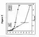 Fig. 06 - Dual phase drug release system