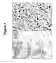 Fig. 08 - Dual phase drug release system