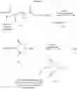 Fig. 16 - Dual phase drug release system