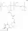 Fig. 37 - Dual phase drug release system