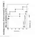 Fig. 33 - Il-11 muteins