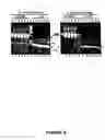 Fig. 04 - Targeting of Herpes simplex virus to specific receptors